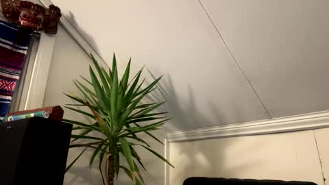 dayblue online show from 2, 3, 2026