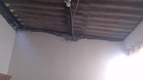 Dylon online show from 25, 10, 2025