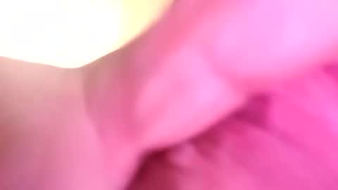 Snapshot of dazzaboxer chatting on 16, 11, 2025 dazzaboxer online show from 16, 11, 2025