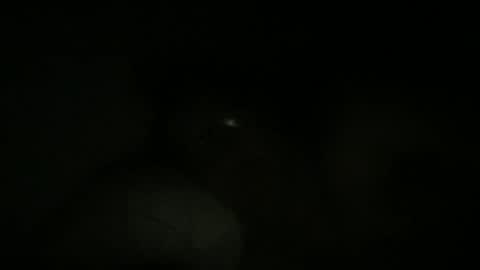 dbdude71 online show from 25, 1, 2025