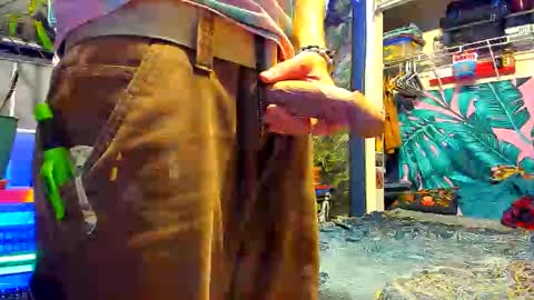 delightfuldance online show from 23, 12, 2025