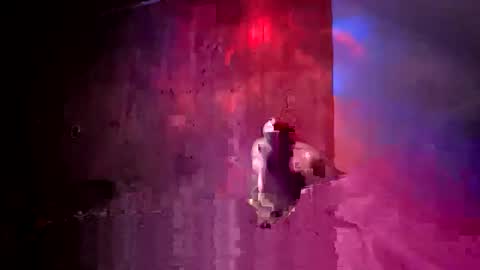 den2807 online show from 17, 4, 2026