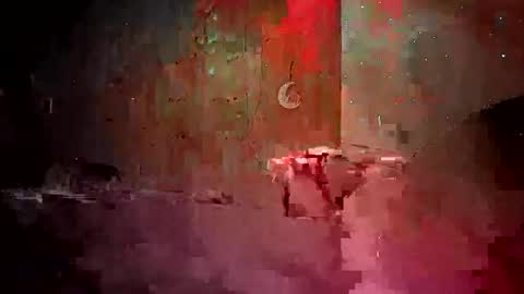 den2807 online show from 19, 4, 2026