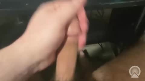 devin255395 online show from 3, 12, 2025