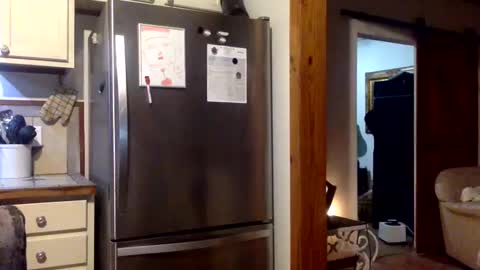 devjsav12 online show from 19, 1, 2025