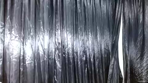 diana_o1 online show from 2, 7, 2026