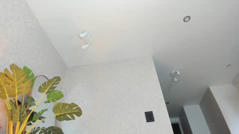 dianac1998 online show from 5, 1, 2026