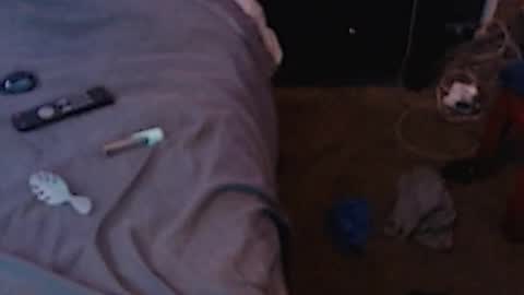 Snapshot of dickgiggler chatting on 3, 12, 2024 Sparkx online show from 3, 12, 2024