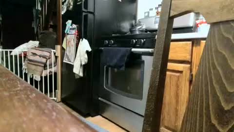 Snapshot of dickwack4u chatting on 13, 9, 2025 dickwack4u online show from 13, 9, 2025