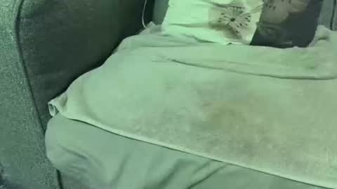 dickwack4u online show from 10, 1, 2026