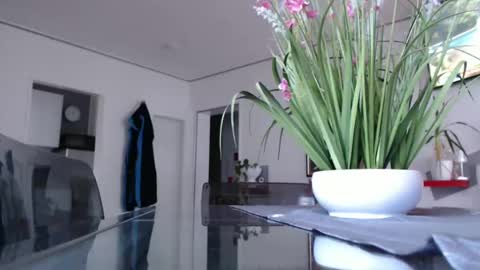 Snapshot of didiegal chatting on 7, 12, 2024 squirtcock online show from 7, 12, 2024