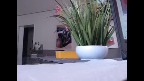 Snapshot of didiegal chatting on 1, 11, 2025 squirtcock online show from 1, 11, 2025