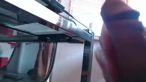 squirtcock online show from 19, 3, 2026