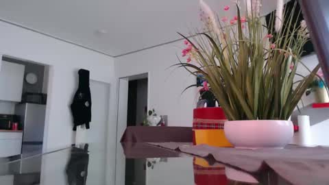 squirtcock online show from 2, 4, 2026