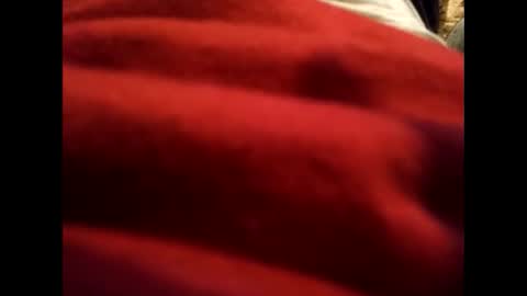 diego_1983_ online show from 2, 4, 2026