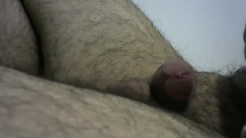 Snapshot of dilaradagci chatting on 28, 12, 2024 Bob online show from 28, 12, 2024