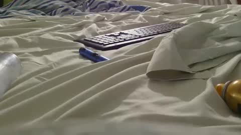 Snapshot of dildosnme22 chatting on 5, 6, 2026 dildosnme22 online show from 5, 6, 2026