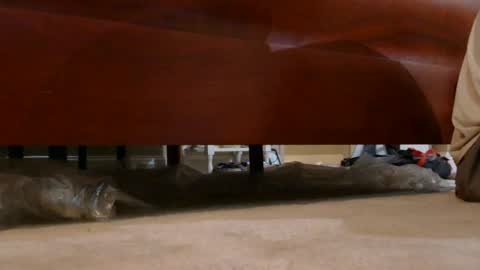 Snapshot of dildosnme22 chatting on 3, 8, 2026 dildosnme22 online show from 3, 8, 2026