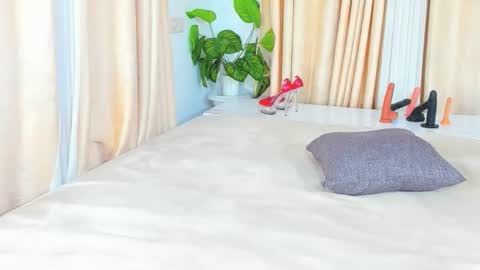 chocolate online show from 17, 9, 2025