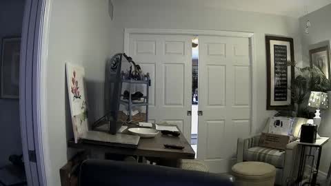 DirtkPitt Fun guy working online show from 2, 1, 2025