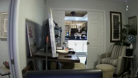 DirtkPitt Fun guy working online show from 4, 1, 2025