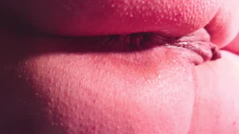 Daisy Wylde online show from 1, 2, 2025