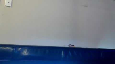 Daisy Wylde online show from 14, 11, 2025