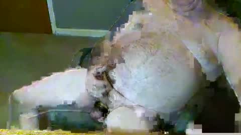 Snapshot of dirtydave52 chatting on 28, 3, 2026 dirtydave52 online show from 28, 3, 2026