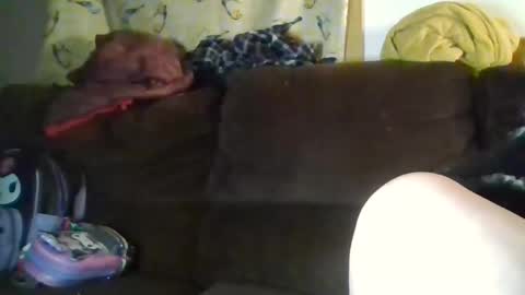 Crystal online show from 10, 1, 2026