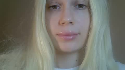 DitaReVirax online show from 2, 4, 2026