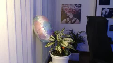 Hera online show from 29, 11, 2025