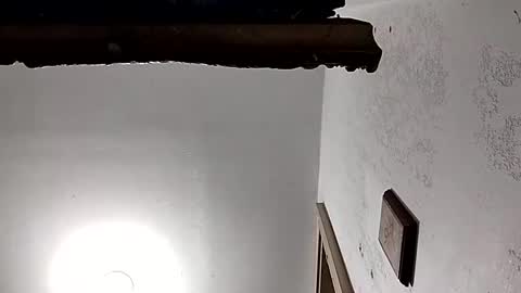 dixonbird41 online show from 18, 2, 2025