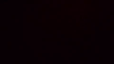 dixonbird41 online show from 9, 4, 2026