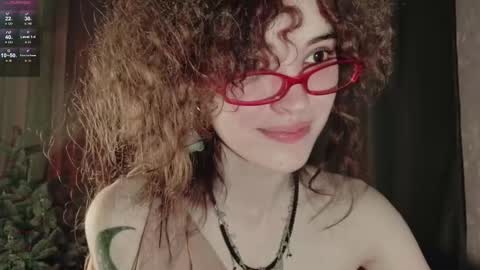 Dizer online show from 20, 12, 2025