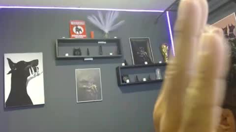 dober_manent online show from 17, 11, 2025