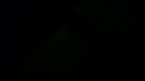 Doby online show from 16, 12, 2025