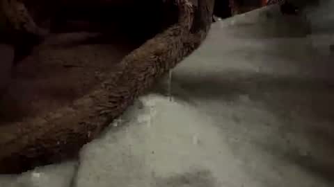 doingmek9 online show from 20, 2, 2025