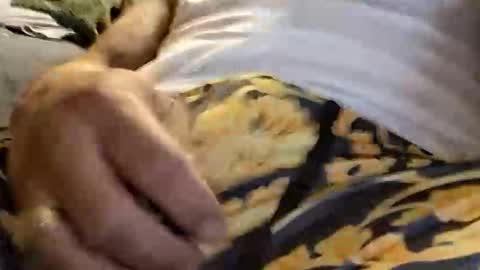 doingthisagain78177277 online show from 18, 1, 2026