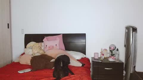 Auro and Santiago online show from 24, 2, 2025