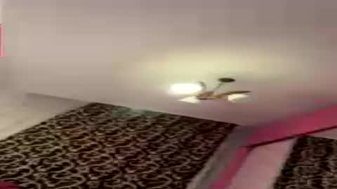 dollpetal online show from 21, 7, 2026