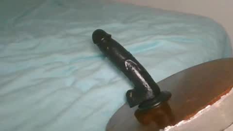 Alzest online show from 22, 2, 2026