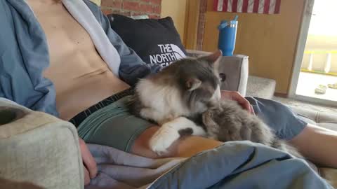 dommepleasemistress online show from 22, 3, 2026