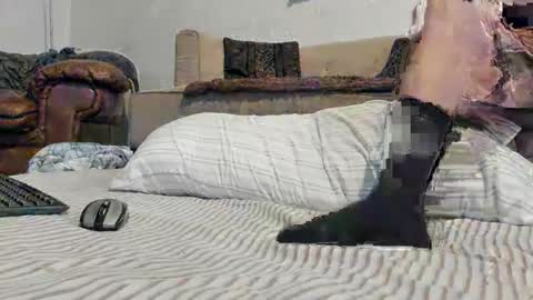 Snapshot of domsxyqte chatting on 17, 1, 2025 Rick online show from 17, 1, 2025