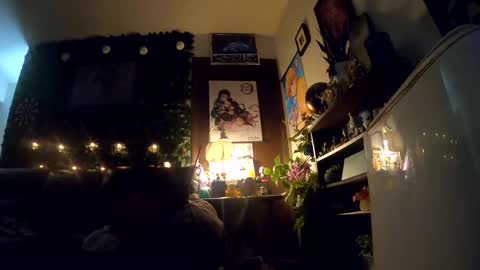 Sapphire Fox online show from 2, 10, 2025