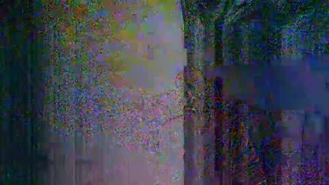 donosus online show from 12, 3, 2026