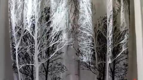 donschlongs online show from 21, 1, 2025