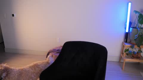 Sara online show from 18, 10, 2025