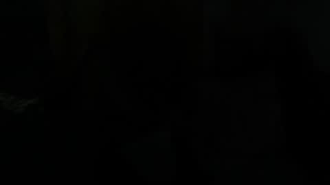 Dragon online show from 28, 1, 2025