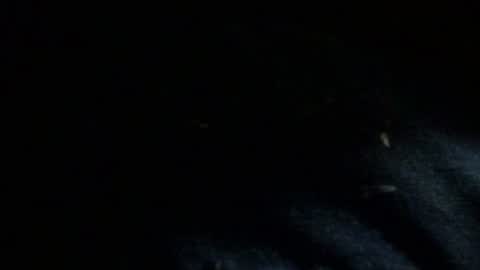 Snapshot of dreadedted chatting on 24, 11, 2025 Dreadedted online show from 24, 11, 2025