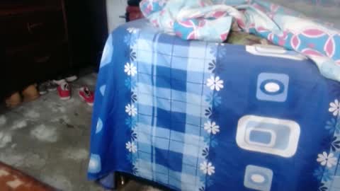 dreamreal online show from 1, 10, 2025